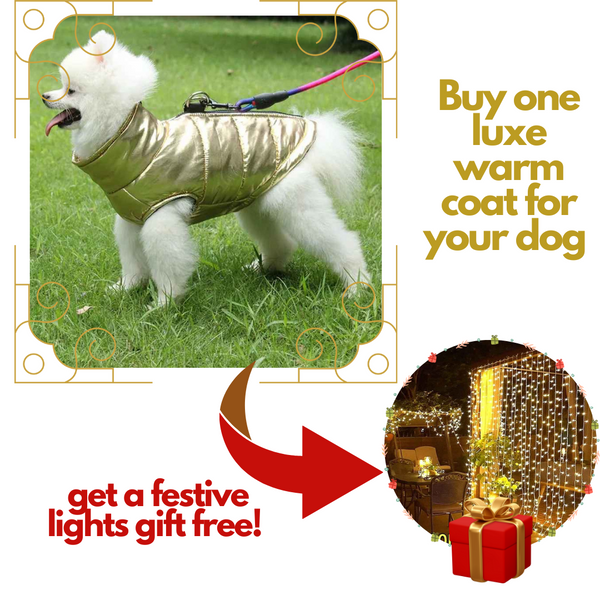 Waterproof Dog Jacket - Luxe & Warm : and get festive LED lights as a free gift! 🎁✨